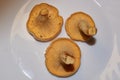 Mushrooms Chanterelles - very tasty and healthy mushrooms.