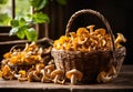 Mushrooms chanterelles in a wicker basket on a wooden table. Rustic home