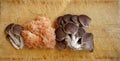 Mushrooms on a chopping board Royalty Free Stock Photo