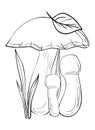 Mushrooms. Coloring, clip art, line art. Vector illustration