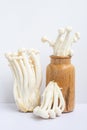 Mushrooms conceptual still life. White beech or shimeji mushrooms in wooden vase