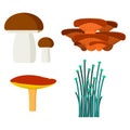 Mushrooms for cook food and poisonous nature meal vegetarian healthy autumn edible and fungus organic vegetable raw