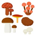 Mushrooms for cook food and poisonous nature meal vegetarian healthy autumn edible and fungus organic vegetable raw