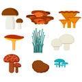 Mushrooms for cook food and poisonous nature meal vegetarian healthy autumn edible and fungus organic vegetable raw