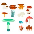 Mushrooms for cook food and poisonous nature meal vegetarian healthy autumn edible and fungus organic vegetable raw
