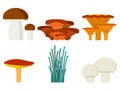 Mushrooms for cook food and poisonous nature meal vegetarian healthy autumn edible and fungus organic vegetable raw