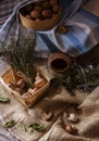 Mushrooms, dried herbs and nuts. Rustic motive. Healthy lifestyle. Royalty Free Stock Photo