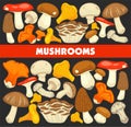 Mushrooms edible mushrooming poster. Vector flat champignon and boletus or forest chanterelle and lobster mushroom