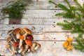 Mushrooms in forest. Card on autumn or summertime. Forest harvest. Boletus, aspen, chanterelles, leaves, buds, berries, Top view Royalty Free Stock Photo