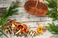 Mushrooms in forest. Card on autumn or summertime. Forest harvest. Boletus, aspen, chanterelles, leaves, buds, berries, Top view Royalty Free Stock Photo