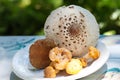 Mushrooms from the forest- parasol, ceps and chant