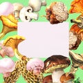 Mushrooms frame with chanterelle, champignon, truffle, morel, cep and white paper card with copy space. Template for Royalty Free Stock Photo