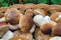Mushrooms. Full basket with mushrooms close-up. mushroom-kicking