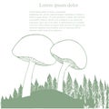 Mushrooms green background, fir tree, Lorem Ipsum on white