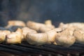 Mushrooms on the grill Royalty Free Stock Photo