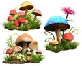 Mushrooms Royalty Free Stock Photo