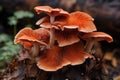 Mushrooms growing on a tree stump in the forest in autumn, Lingzhi mushroom, Ganoderma lucidum Lingzhi mushroom, AI Generated