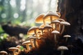 mushrooms growing on a tree stump in the forest in autumn, Mushroom cultivation in the wild, close-up, selective focus, AI Royalty Free Stock Photo