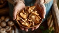 Mushrooms in hand close up, macro in sunlight. Mushroomer with wild forest porcini mushrooms, top view