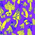 Mushrooms with hand drawn different shape. Stylized magic psychedelic mushrooms seamless pattern. Black, yellow, purple colors