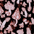 Mushrooms with hand drawn different shape. Stylized magic psychedelic mushrooms seamless pattern. Pink, blue, orange background.
