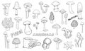 Mushrooms hand drawn linear icons set