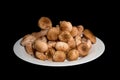 Mushrooms honey agarics on plate Royalty Free Stock Photo