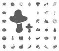 Mushrooms icon. Fruit and Vegetables vector illustration icon set. food and plant symbols.