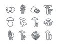 Mushrooms icon set. Vector linear icons contour shape outline. Modern glyph design. Champignon enoki truffle russula