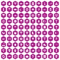 100 mushrooms icons hexagon violet Royalty Free Stock Photo