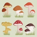 Mushrooms