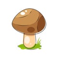 Mushrooms Illustrations Suitable For Greeting Card, Poster Or T-shirt Printing Royalty Free Stock Photo