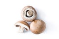 Mushrooms isolated. Top view Royalty Free Stock Photo