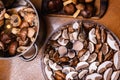 Mushrooms lie on a drying grid of electric dryer on wooden table.