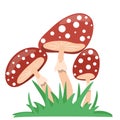 Mushrooms love an isolated object.