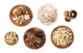 Mushrooms Mix Set Royalty Free Stock Photo