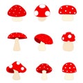 Mushrooms / mushroom Royalty Free Stock Photo