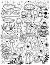 Mushrooms mystical graphics hand drawn moon stars tarot intuition fly agarics toadstools poisons set background stickers