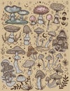 Mushrooms mystical graphics hand drawn moon stars tarot intuition fly agarics toadstools poisons set background stickers