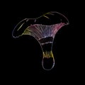 Mushrooms with neon outline on black background. Neon contour. Rainbow colored mushrooms outline