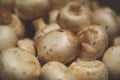 Mushrooms in a pile close up with bohkeh