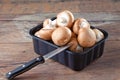 Mushrooms in plastic bowl, knive