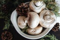 Mushrooms with porcini mushrooms next to a green tree and a brown pine cone Royalty Free Stock Photo