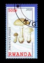 Mushrooms on postage stamps Royalty Free Stock Photo