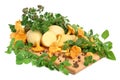 Mushrooms with potatos Royalty Free Stock Photo