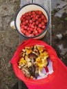 Raspberries in a mug and mushrooms in a cap.