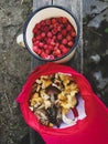 Raspberries in a mug and mushrooms in a cap.