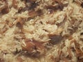 mushrooms risotto with basmati rice