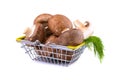 Mushrooms.Royal mushroom champignons in a shopping basket, close-up, isolated on a white background.The concept of buying healthy