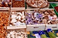 Mushrooms in San Sebastien Market